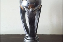 TPS FA Cup