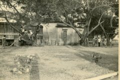 Septic Tanks