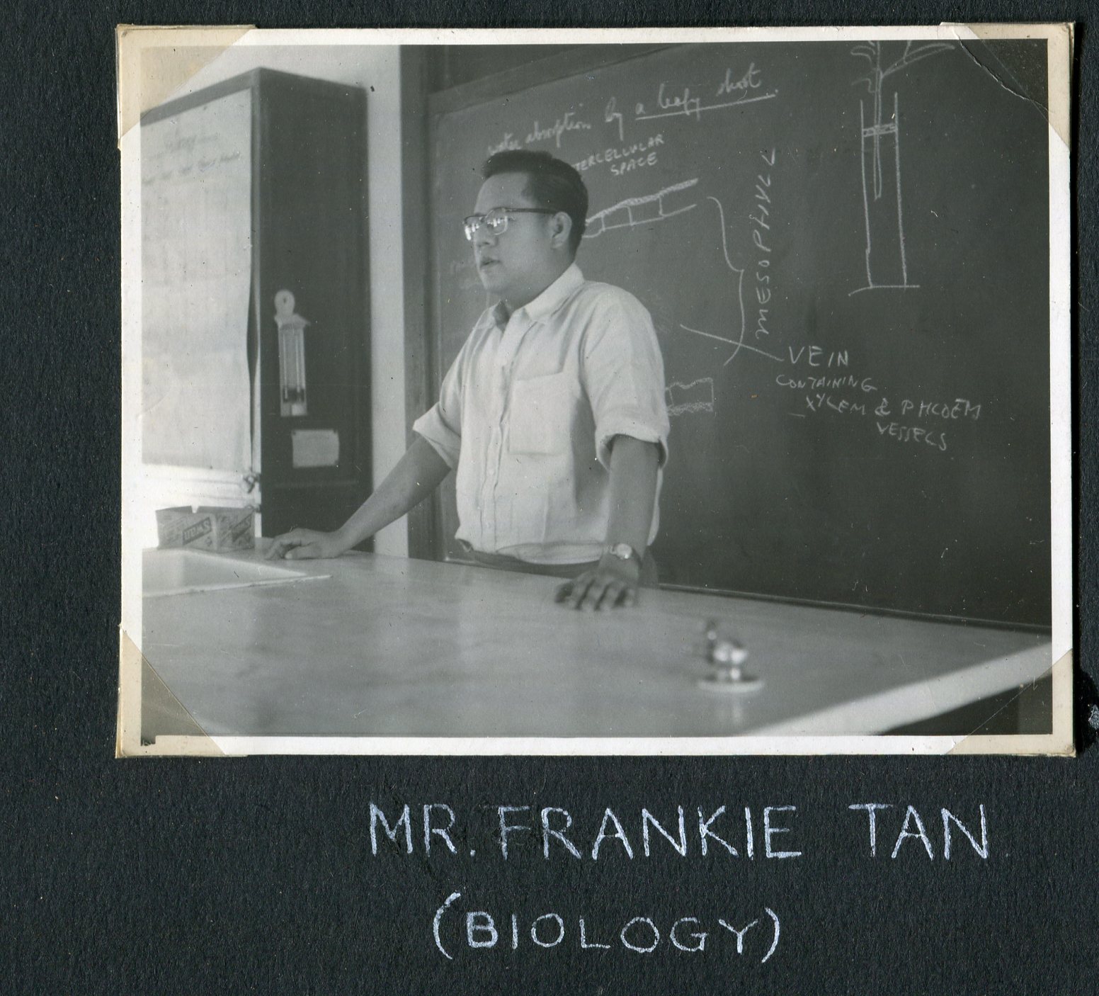 1955-Mr-Frankie-Tan